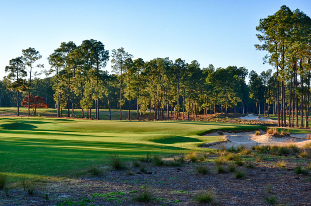 Pinehurst-2-Hole-15